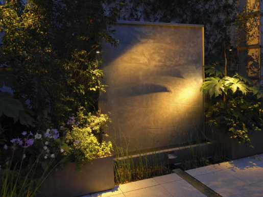 Lumière dorée sur un mur de béton orné de végétaux.