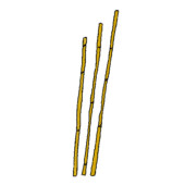 Tuteurs en bambou de 1,5 m de long.
