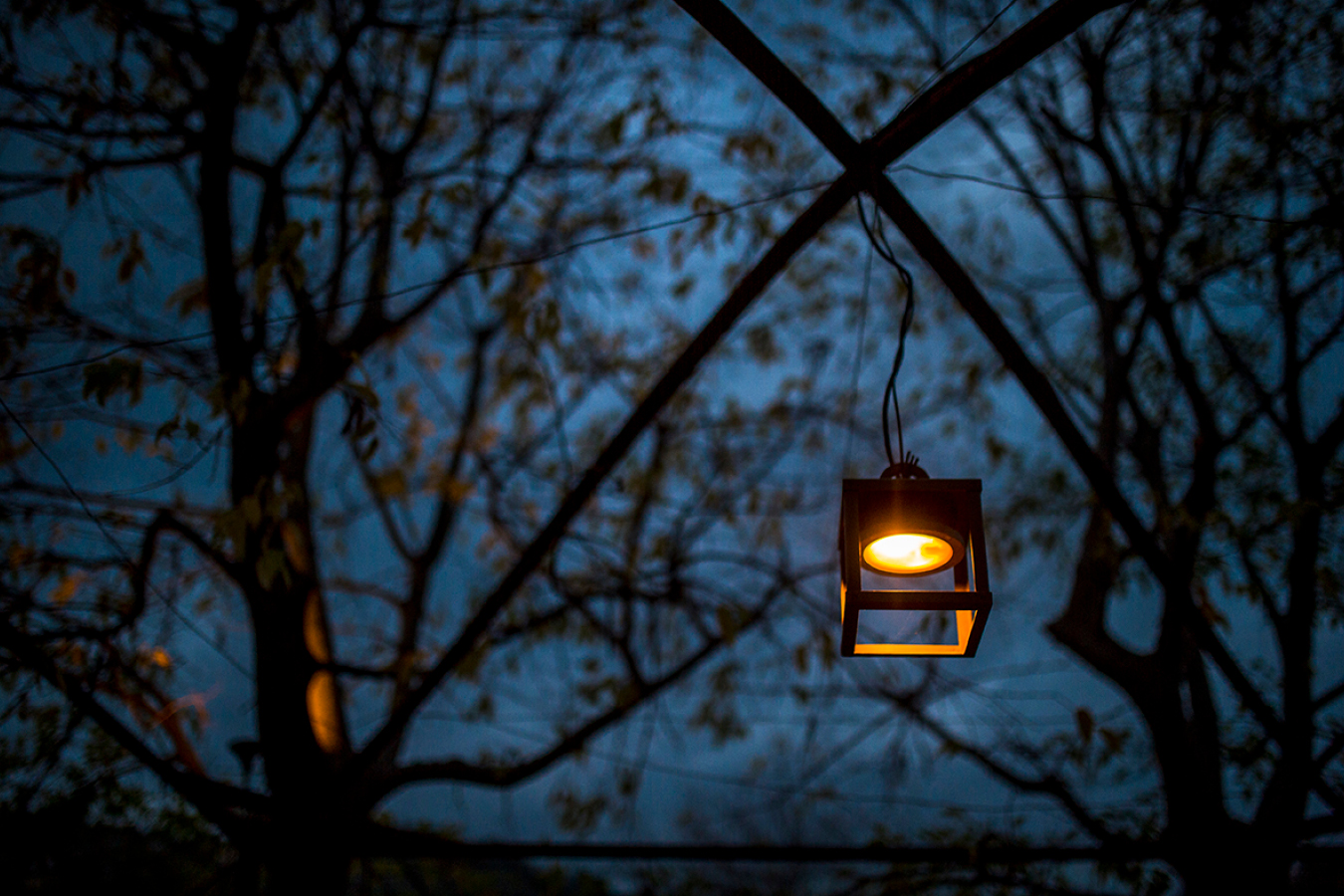Luminaire d'extérieur accroché dans un arbre. Création Jean-Philippe
