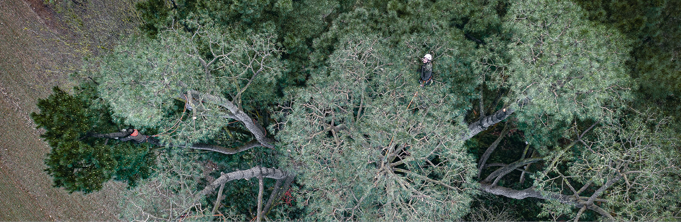 La Ballue : sculptures végétales en plein ciel. Garden_Lab#12 - Architecture & jardins.