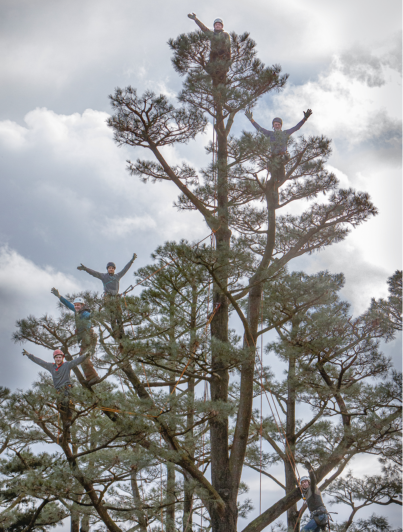 La Ballue : sculptures végétales en plein ciel. Garden_Lab#12 - Architecture & jardins.