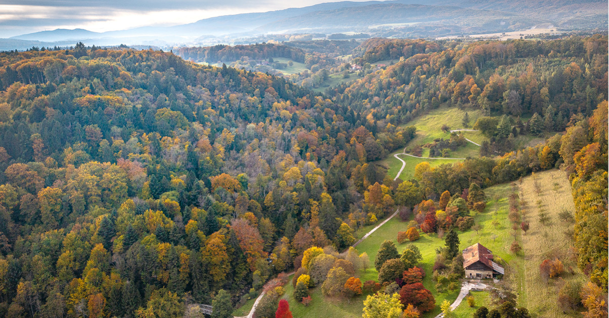 Revue Garden_Lab numéro 13 Des arbres et des hommes.