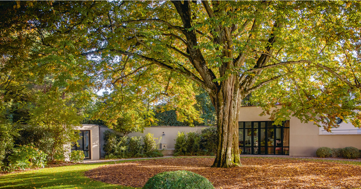 Revue Garden_Lab numéro 13 Des arbres et des hommes.