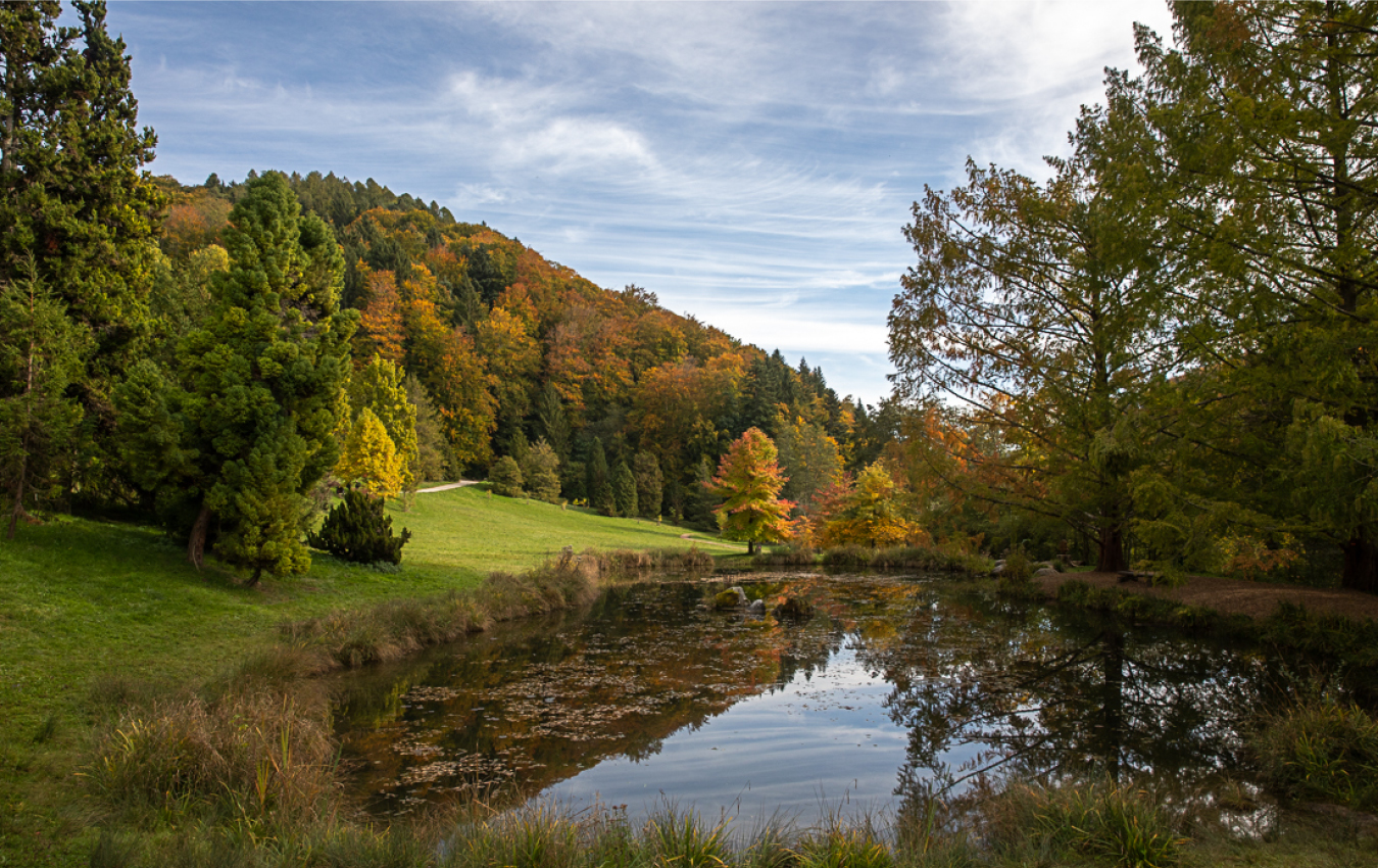 Garden_Lab#13, Des arbres & des hommes. Arboretum du Vallon de l'Aubonne, en Suisse.