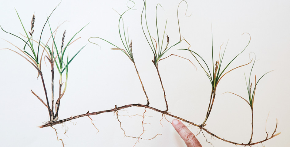 Garden_Lab#09 - Etre Botaniste