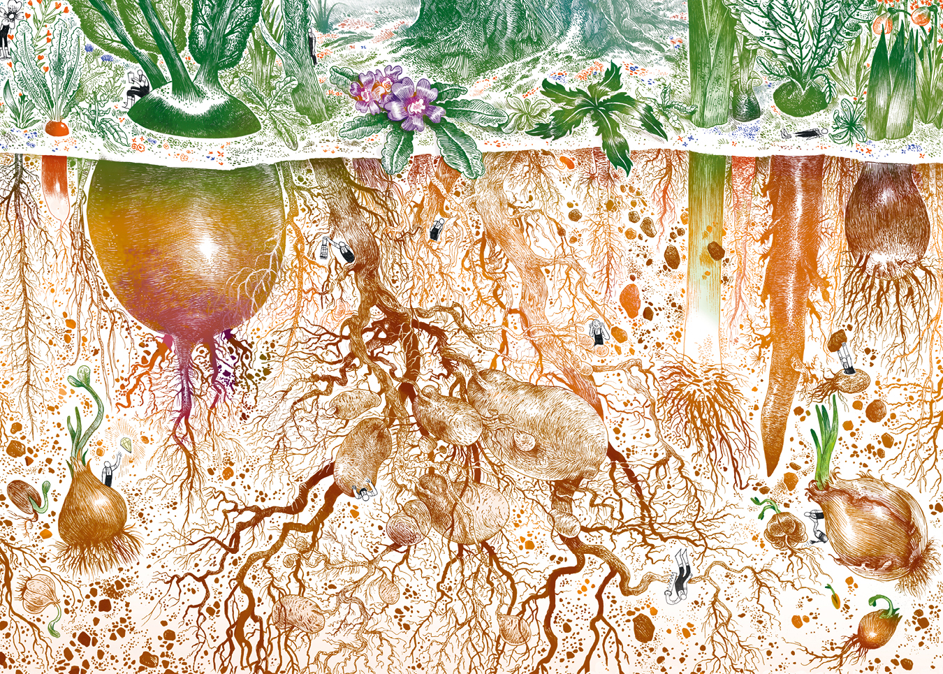 Le jardinage des racines, par Véronique Mure. Garden_Lab 10, Jardins & sécheresse.